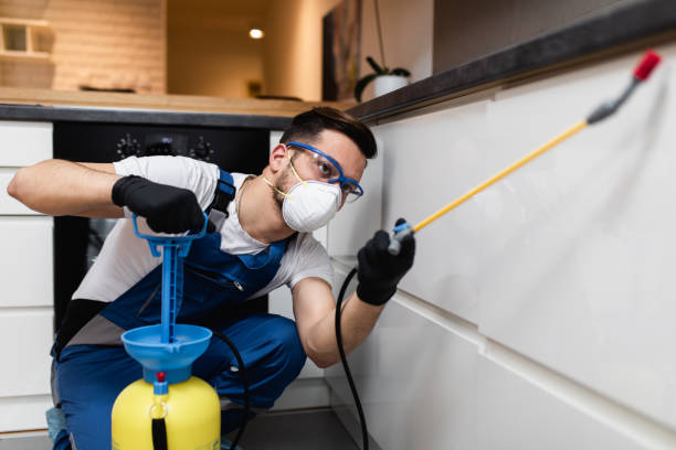 Best Exterminator Services  in Laguna Hills, CA