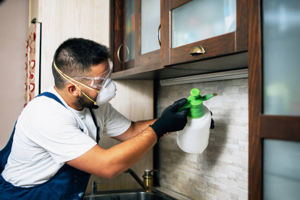  Laguna Hills, CA Pest Control Pros