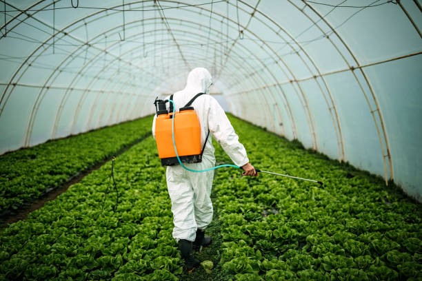 Insect Control in Laguna Hills, CA