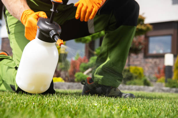 Best Affordable Pest Control Services  in Laguna Hills, CA