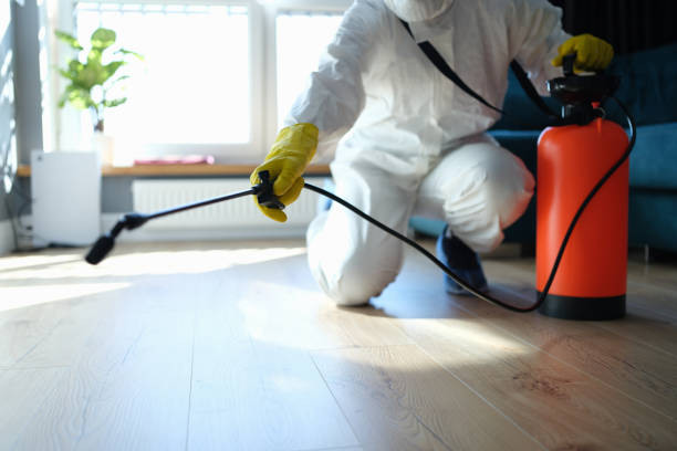 Reliable Laguna Hills, CA Pest Control Solutions