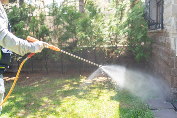 Best Flea Control Services  in Laguna Hills, CA