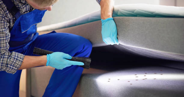 Best Pest Prevention Services  in Laguna Hills, CA