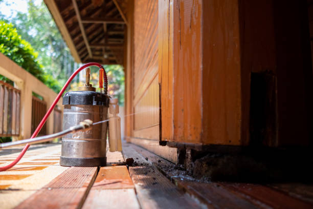 Best Termite Control Services  in Laguna Hills, CA