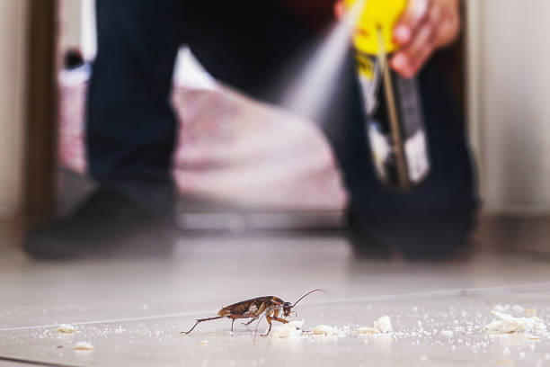  Laguna Hills, CA Pest Control Pros