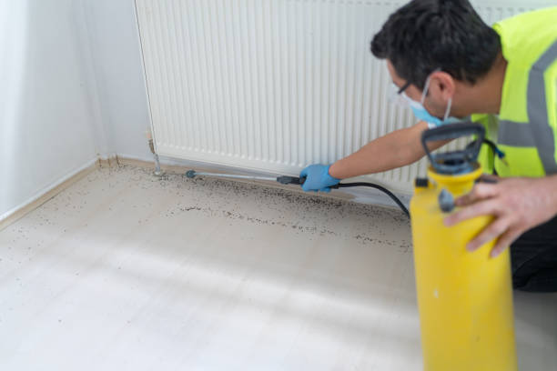 Pest Prevention Services in Laguna Hills, CA