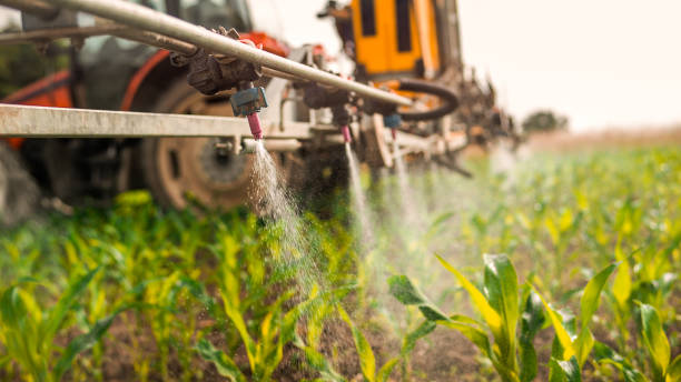 Best Mosquito Control Services  in Laguna Hills, CA