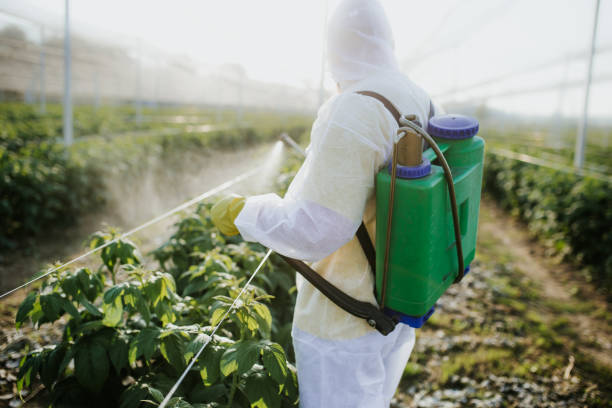 Pest Control Cost in Laguna Hills, CA